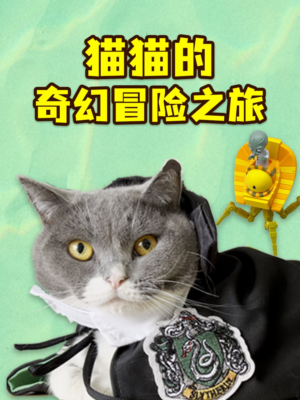 猫猫的奇幻冒险之旅