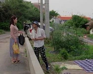 欧美老熟妇乱子