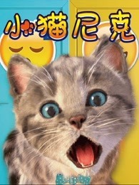 猫2019